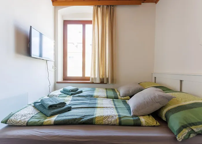 Minizell - Small Cosy *